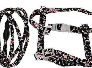 Angoily 2 Sätze Katze Leine Geschirr Katzengeschirr für Hasenleine Welpenleine kleines Katzengeschirr Katzenleine im Freien Outdoor-Kätzchengeschirr Haustier Gurt Katzenseil Gürtel Tuch