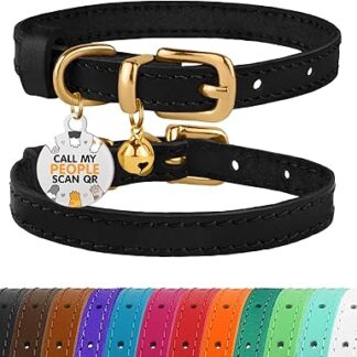 BRONZEDOG Leather Cat Collar with Bell, Non-Tearable, QR Tag for Girls and Boys (Black and Gold, 18-23 cm)