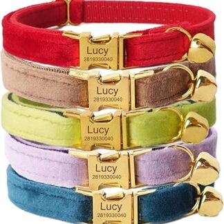 Personalised Cat Collar with Name Plate and Phone Number Engraved for Kitten Puppy Velvet Gold