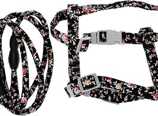 COSMEVIVI 1 Set Cat Lead Harness Cat Leash Cat Harnesses Cat Harness Cat Collar Running Belt for Dogs Pet Control Rope Cat Lead Kitten Adjustable Harness Cloth