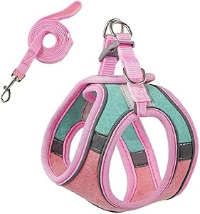 Cat Harness and Lead Set Escape Proof Cat Harness and Leash Set Adjustable Soft Walking Cat Vest Holster Style Best for Kitten Walking Pink Green S