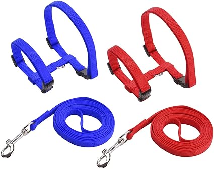 Rabbit Lead, Cat Harness, Adjustable Rabbit Harness, Nylon Rabbit Lead, Elastic Walking Harness Set for Small Animals, Adjustable, Soft, Breathable Walking Harness Set, 2 Pieces