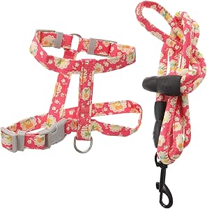 COLLBATH Katzengeschirr und Leine ausbruchsicheres Set Haustiergeschirr und Leine für Outdoor-Aktivitäten stilvolles Design Geschirr für Katzen