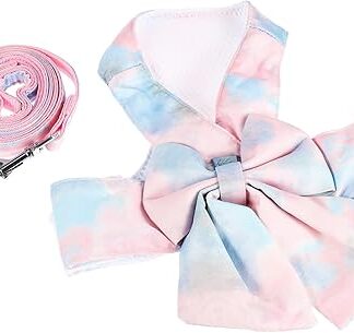 POPETPOP 1 Set Pet Harness and Lead Holder for Cat Collar Dog Buttons Pet Supplies Cat Safety Harness Cat Leash Small Cat Harness Running Lead Set for Cats Polyester