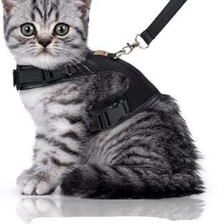 Bella & Balu Cat Harness Includes Lead – Escape-Proof and Robust Chest Harness with Soft Inner Lining and Breathable Mesh – For Worry-Free Walking, s, Black