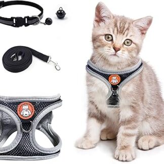 Cat Harness and Lead Set, Adjustable Cat Harness with Cat Lead and Cat Collar with Bell, Reflective Stripes, Vest, Cat Harness, Escape Proof Kitten Harness and Lead Set for Small