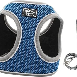 WOONEKY Set Chest Strap for Pets, Vest for Pets, Reflective Chest Strap for Cats, Chest Strap for Pets, Vest for Cats