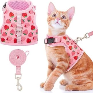 BINPET Cat Harness with Lead, Adjustable & Escape Proof, Breathable, Striped Design, Cat Harness for Secure Hold & Comfort, Ideal for Walks and Control