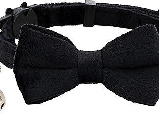 Gyapet Cat Collar Soft Velvet with Bow Tie Bell Safety Clasp for Boys Girls Kittens Simple Colors for Men Women 1 Pcs Black