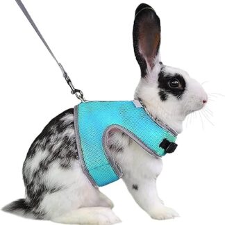 Dokeno Cat Harness, Cat Vest with Lead, Escape Proof Dog Harness, Pet Chest Strap, Universal Soft Harness, Rabbit Lead, Safety Harness for Kittens, Rabbits, Small Pets, Blue