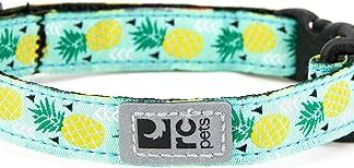 RC Pet Products Kitty Breakaway Cat Collar, 1/2", Pineapple Parade