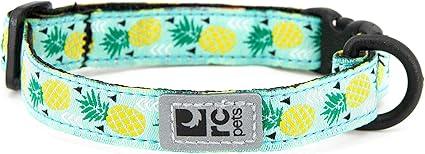 RC Pet Products Kitty Breakaway Cat Collar, 1/2", Pineapple Parade