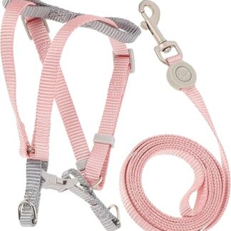 Beaupretty 1 Set Adjustable Cat Harness for Small Dogs Kitten Lead Lightweight Cat Harness Small Pet Lead Kitten Harness Lead Set Dog Lead Polyester Adjustable