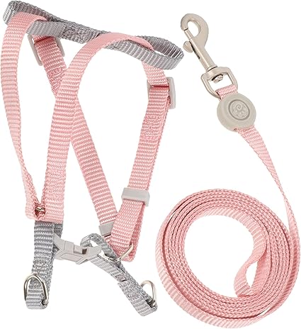Beaupretty 1 Set Adjustable Cat Harness for Small Dogs Kitten Lead Lightweight Cat Harness Small Pet Lead Kitten Harness Lead Set Dog Lead Polyester Adjustable