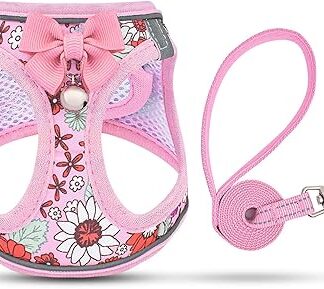 SALFSE Cat Harness and Leash, Escape Proof Walking Adjustable Soft Kitten Harness with Reflective Straps Cat Vest Harness for Small Kittens and XS Dogs