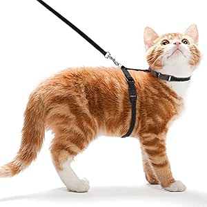 Ducomi Meow Cat Anti-Escape Harness with Lead - Collar for Small Cats and Kittens, Adjustable Harness and 105 cm Lead for Safe Walking with Cats (Black)