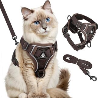 GlasFlength Cat Harness with Leash, Cat Harness Adjustable, Cat Harness, Reflective Leash for Cats, Anti-Breakout, Harness for Kittens, Soft, Breathable, Cat Lead for Cats
