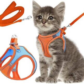M0008 Cat Lead with Harness for Cats, Cat Harness with Lead, Escape Proof, Cat Harness Set with Lead for Cats, Kittens, Dogs, Puppies (Orange/Blue) (XXS), M0008