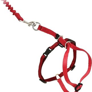 PetSafe Easy Walk CWMK-S-RED-19 Cat Harness with Elastic Bungee Lead for Walking Your Cat, Small, Red