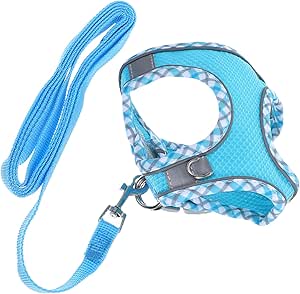 COLLBATH 1 Set Kätzchen Reflektierendes Geschirr Katzenhalsband Leine Welpengeschirr Kaninchengeschirr Leine Kätzchengeschirr Verstellbares Katzengeschirr Kätzchenweste Kleines