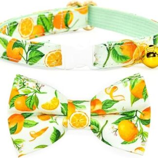 Summer Cat Bowtie with Collar, Breakaway Safety Kitten Collar, Yellow Orange Fruit, Cat Accessories, XS (20.3 cm - 33.0 cm)