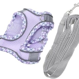 TOGEVAL Welpengeschirr Kleine Hunde 1 Satz Reflektierendes Kätzchengeschirr Gehendes Katzengeschirr Kätzchen Leine Laufleine Für Katzenhalsband Führen Welpengeschirr, Leine Haustier Geschirr Polyester