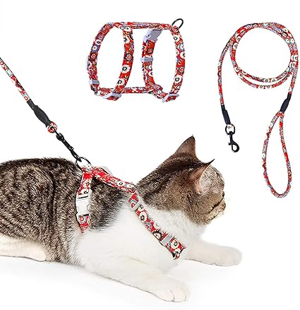 HAPPY HACHI Adjustable Cat Harness, Nylon Strap, Safe, Durable with Lead, Escape Harness and Set for Kittens, Rabbits, Ferrets and Small Pet Animals (M, Red)