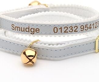 Personalised Cat Collar | Create Your Unique Animal Number Plate | Laser Engraved (Silver)
