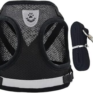 Dog Harness with Lead Set for Small Dogs, Adjustable Dog Harness, Reflective, No Pull Chest Harness, Cat Harness, Breathable Dog Harness (M)