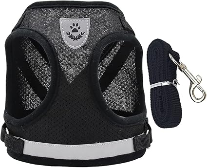 Dog Harness with Lead Set for Small Dogs, Adjustable Dog Harness, Reflective, No Pull Chest Harness, Cat Harness, Breathable Dog Harness (M)