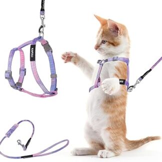 TIESOME Cat Harness with Lead and Collar Set, Adjustable Kitten Harness with Colour Gradient, Escape Proof Harness with Lead for Kittens Walking Outdoors (Colour Gradient Purple)