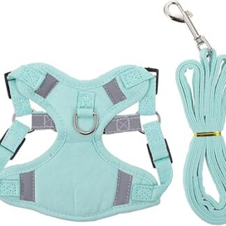 BESPORTBLE 1 Set Cat Lead Safe Cat Harness Collar for Puppies Puppy Harness, Lead Cat Harnesses Cat Harness and Lead Set Pet Harness Cotton Light Green