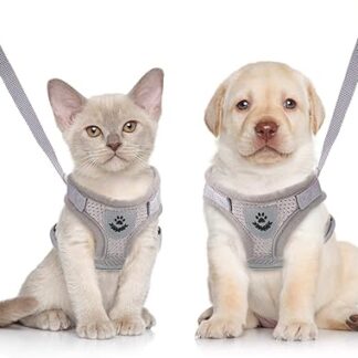 Cat Harness Escape Proof Cat Harness Cat Harness Cat Lead and Harness Breathable Mesh Adjustable for Outdoor Training Small Cat Kitten Grey XS