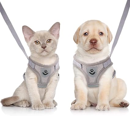 Cat Harness Escape Proof Cat Harness Cat Harness Cat Lead and Harness Breathable Mesh Adjustable for Outdoor Training Small Cat Kitten Grey XS