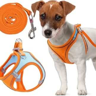 Adjustable Cat Harness, Air Mesh Breathable Chest Harness with 1.5 m Lead, Soft Padded Dog Harness, Cat Lead Kitten with Reflective Strips, Cat Vest (Orange, S)