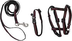 Kerbl Cat Harness Set/ Collar/ Harness and Leash for Cats
