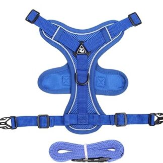 Cat Harness - Small Dog Harness | Harness For Cat | Heavy Duty Kitten Lead | Cat Harness And Lead | Cat Chest Harness And Lead, Adjustable Kitten Vest Harness For Cats, Walking Pet Harness