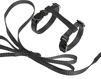 Flamingo ASP Black Kitten Harness + Dog Lead 120 cm/10 mm