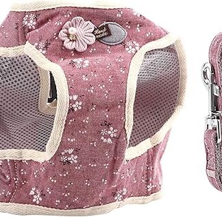 Pssopp Dog Harness and Lead Set Breathable Cotton Mix Pet Dog Chest Harness Vest and Dog Lead Cat Dog Chest Strap Harness for Walking Running Training, Red M