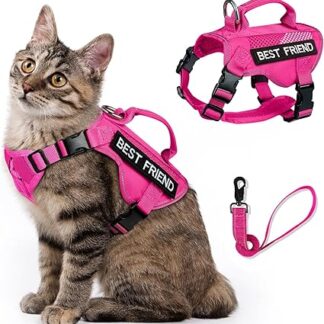 SALFSE Tactical Cat Harness with Lead, Air Mesh, Escape Proof Reflective Large Cat Harness with Handle for Adult Thick Cats (APink, XL)