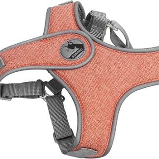 Qukaim Spazierleine, Haustier-Leine, reflektierendes Geschirr, verstellbar, atmungsaktiv, Brustgurt für Spaziergänge im Freien, Größe M, Orange