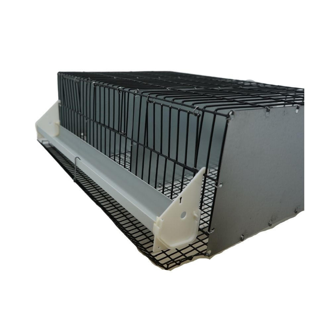 3 Section Quail Breeding Pen