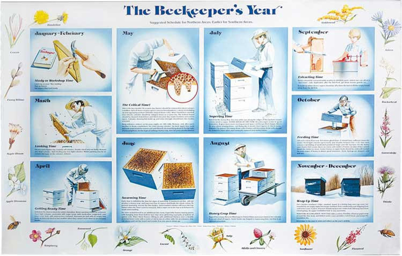 The Beekeeper's Year Poster