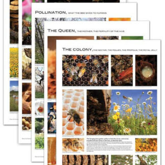 Beekeeping Posters - Set of 5