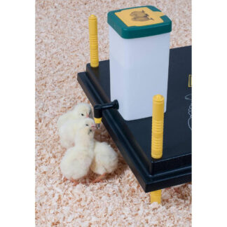 1 Liter Drinking Bottle with Hinged Lid