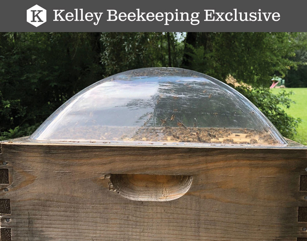 Clauss Hive Dome, 8 Frame