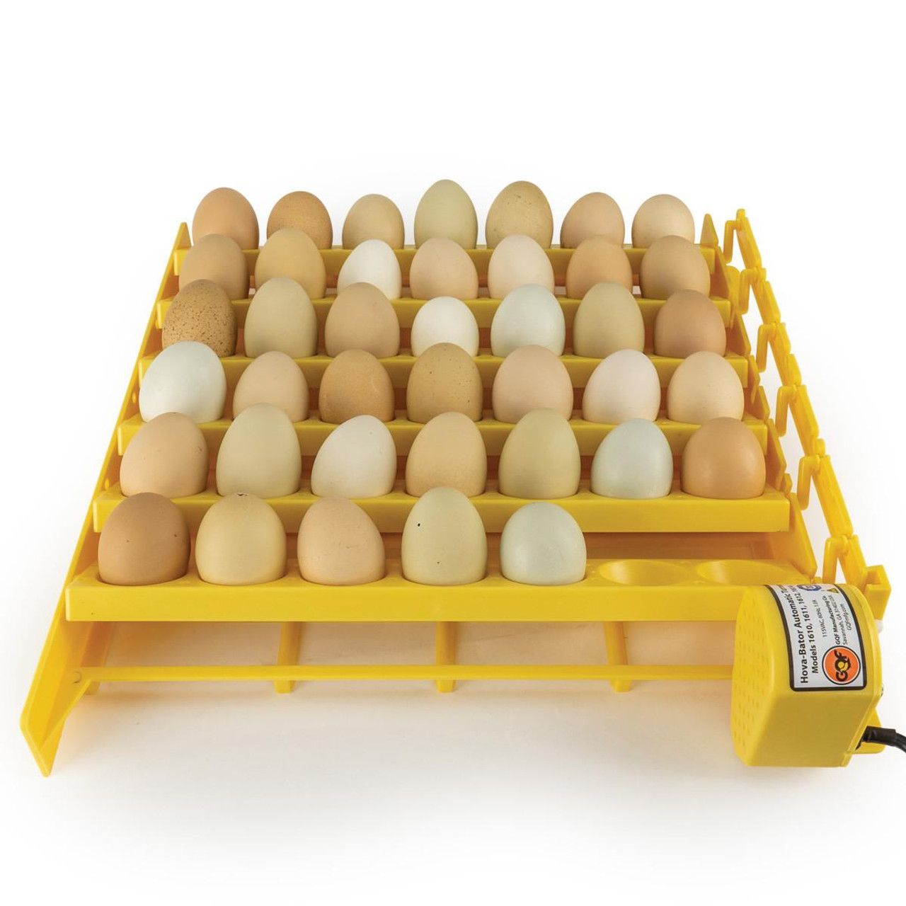 GQF 1611 Hova-Bator Automatic Egg Turner with Universal Rack