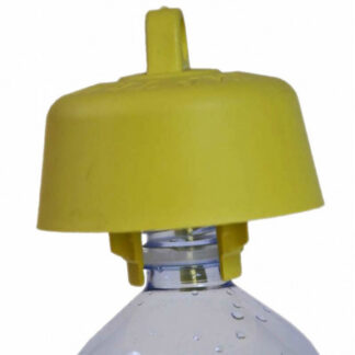 Hornet and wasp bottle trap. Packet of 5 pieces