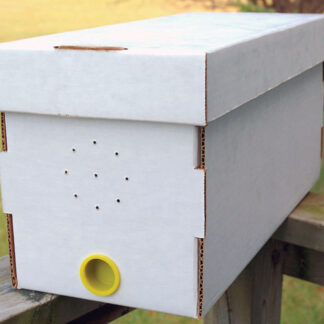 5 Frame Italian Nucs - Clarkson, KY - Pickup Only