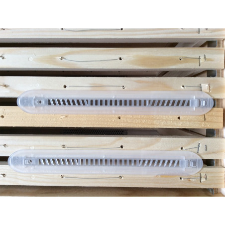 Opening plastic trap for Aethina Tumida (WITHOUT BAIT).